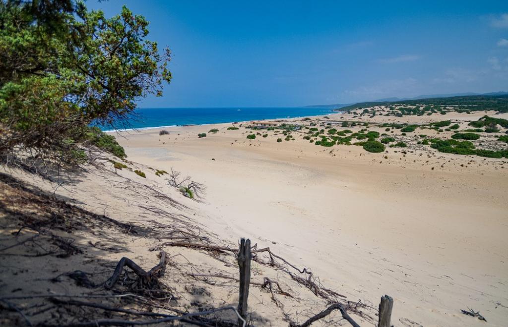 Rundreise Südwesten: von Dünen und stillgelegte Bergwerken, Cagliari (CA) #16