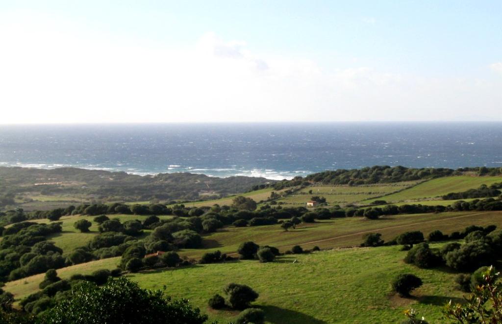 Round Trip north-west Sardinia  – from Alghero to Castelsardo, Alghero (SS) #3