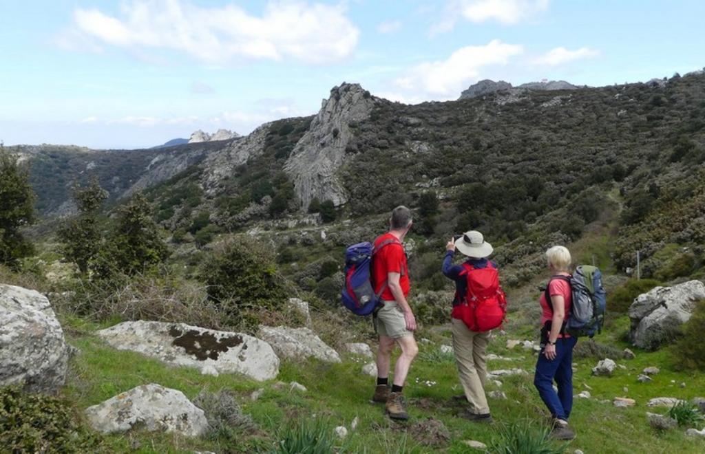 Discover historical mansions and fine restored homes in Sardinia, Cagliari (CA) #9