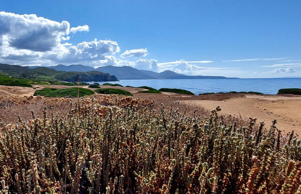 E-Bike Tour di Gruppo nel Sud-Ovest della Sardegna, Sant'Antioco (CA) #2