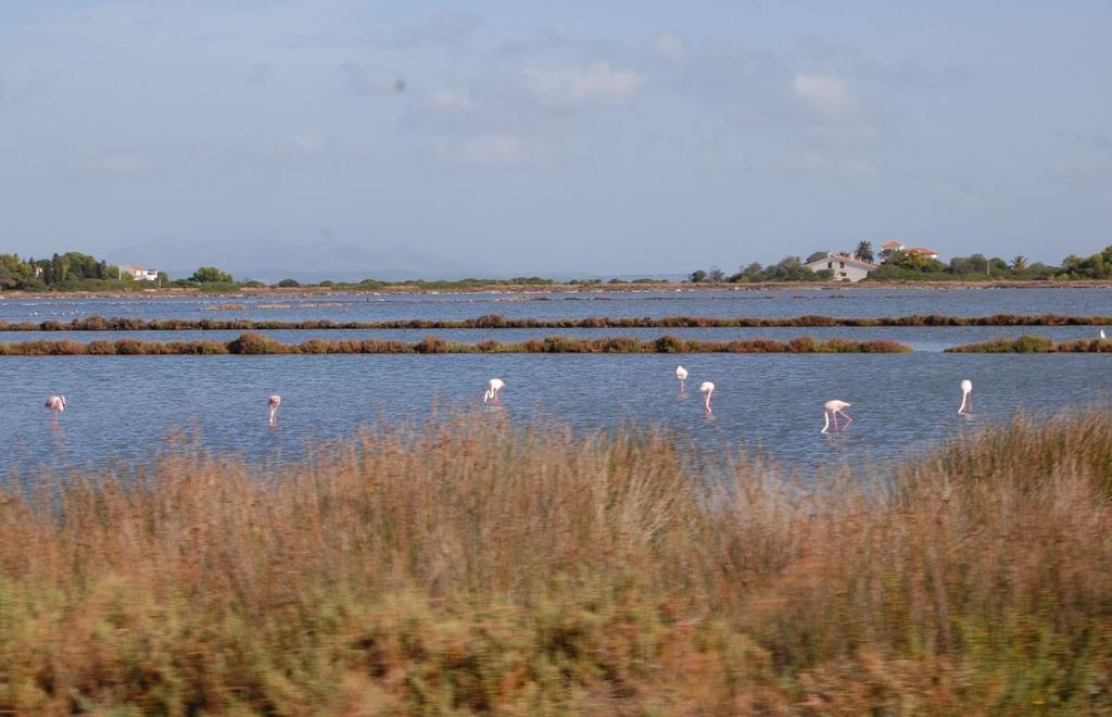 E-Bike Tour di Gruppo nel Sud-Ovest della Sardegna, Sant'Antioco (CA) #4