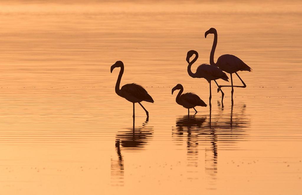 E-Bike Tour di Gruppo nel Sud-Ovest della Sardegna, Sant'Antioco (CA) #5