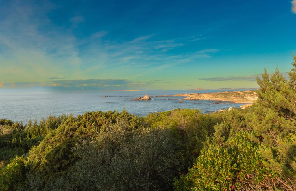 Villa Cadenza, Portobello (OT) #30