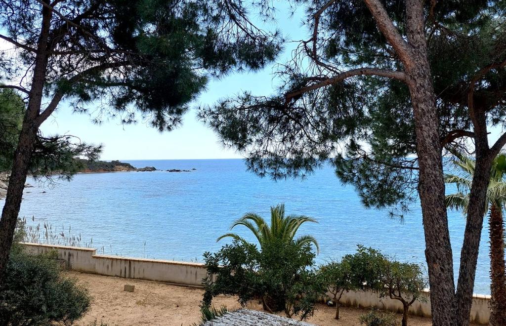 Casa di Dafne, Cagliari (CA) #29