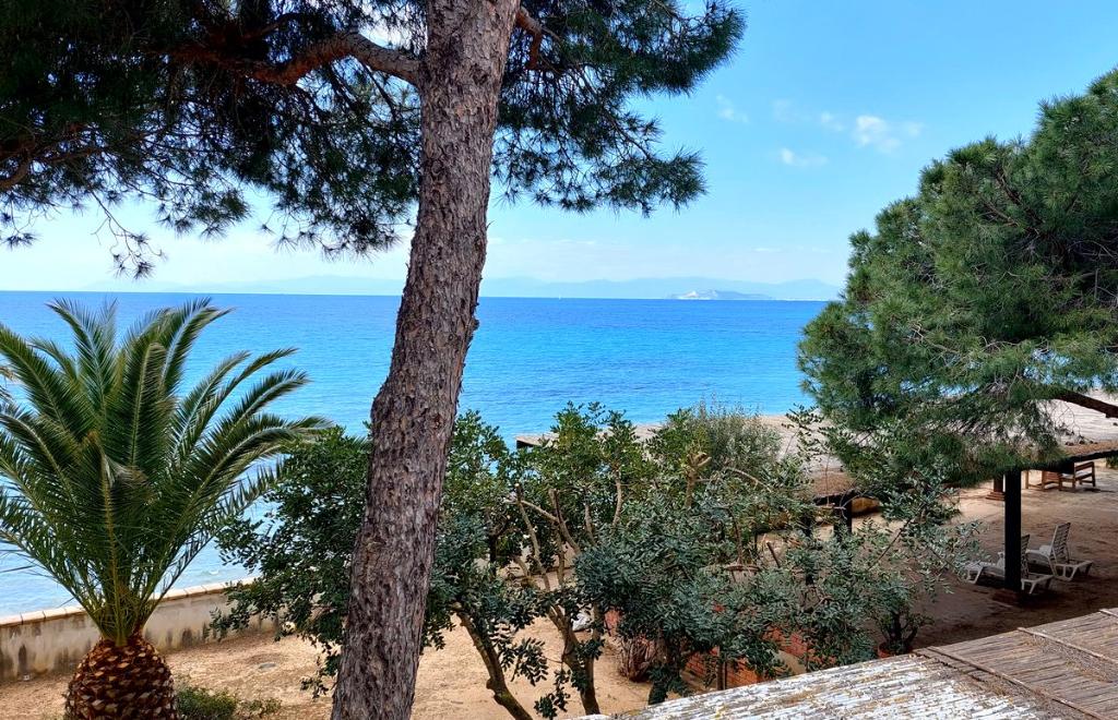 Casa di Dafne, Cagliari (CA) #3