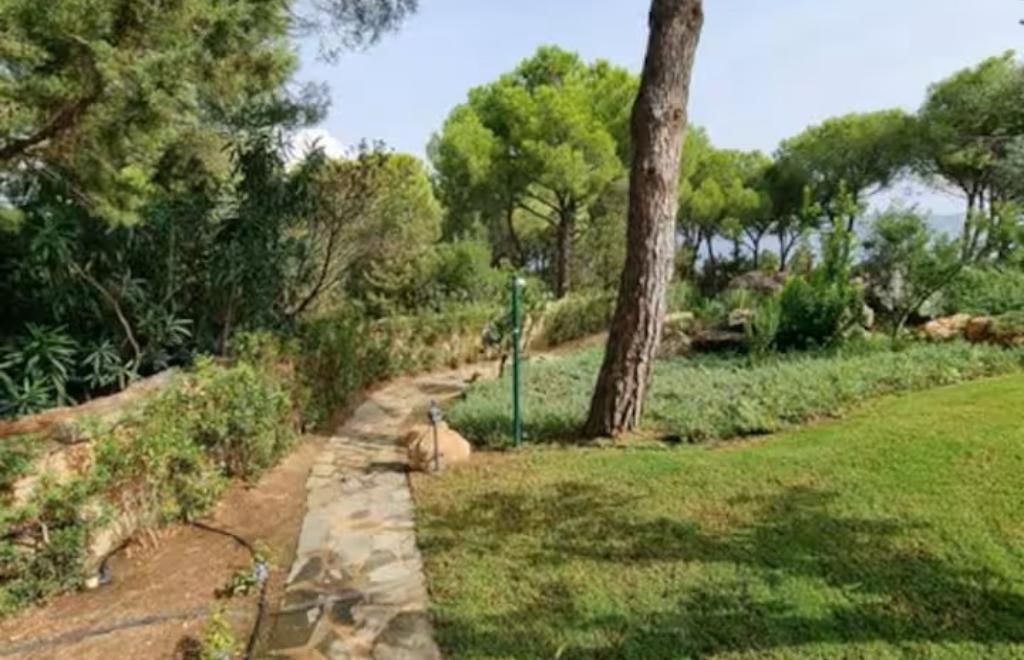 Home Mariposa, San Teodoro (OT) #20