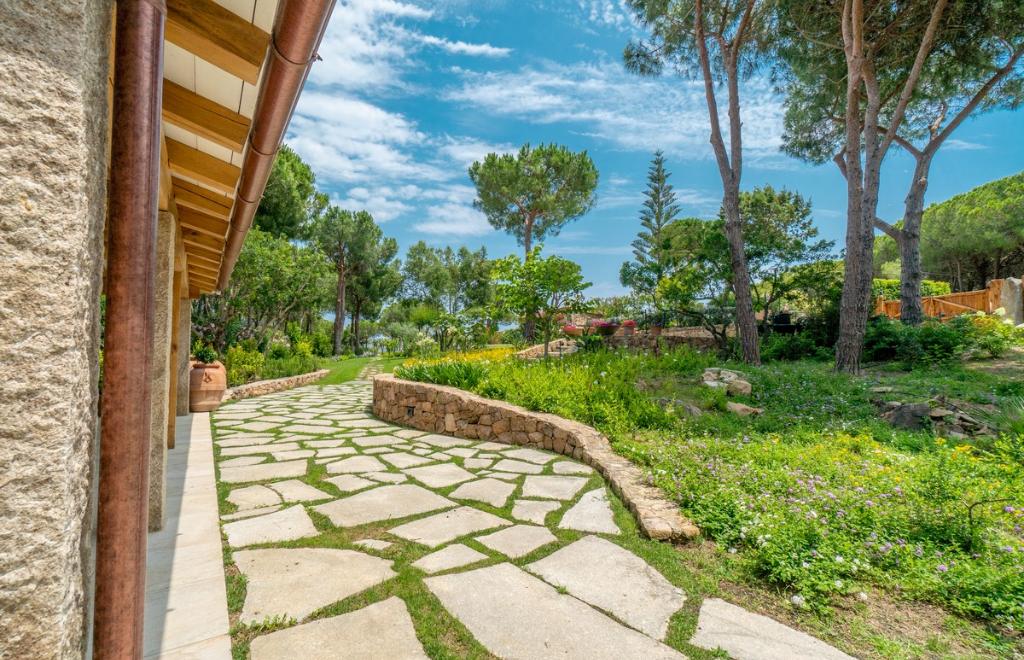 Home Mariposa, San Teodoro (OT) #3