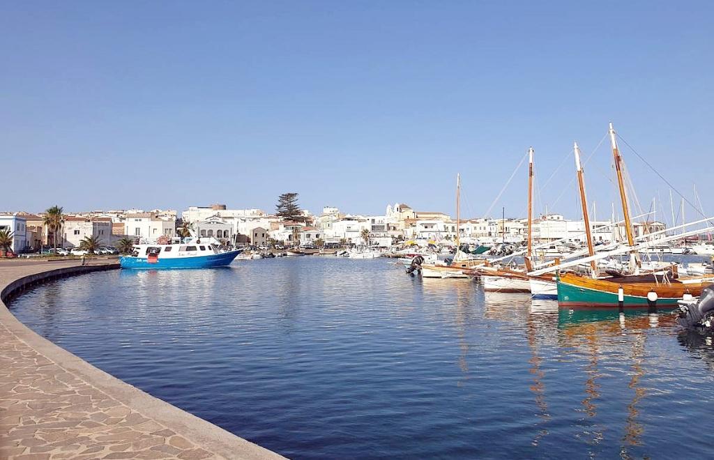 Ferienwohnung Perlina sul Mare, Calasetta (CI) #17