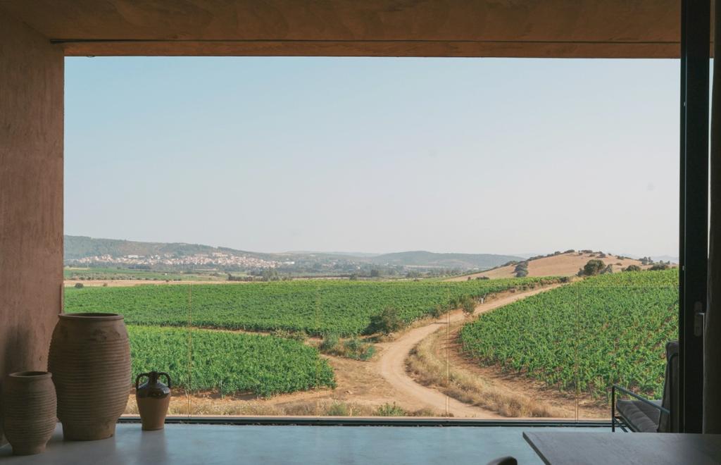 Tenuta Maestrale Wine Lodge, Cagliari (CA) #17