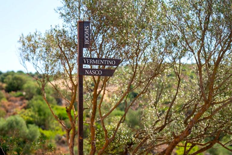 Tenuta Maestrale Wine Lodge - Deluxe Suite, Cagliari (CA)