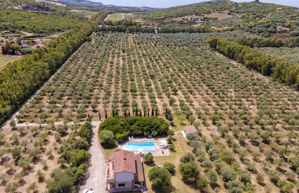 Villa Ulivo, Alghero (SS) #15