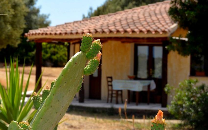 Gîte rural Rubinu Fermes Galtellì - Sardegna