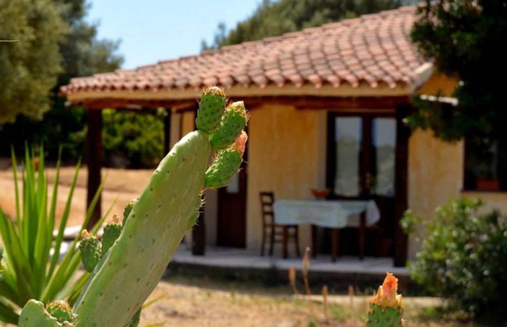 Gîte rural Rubinu, Galtellì (NU) #1