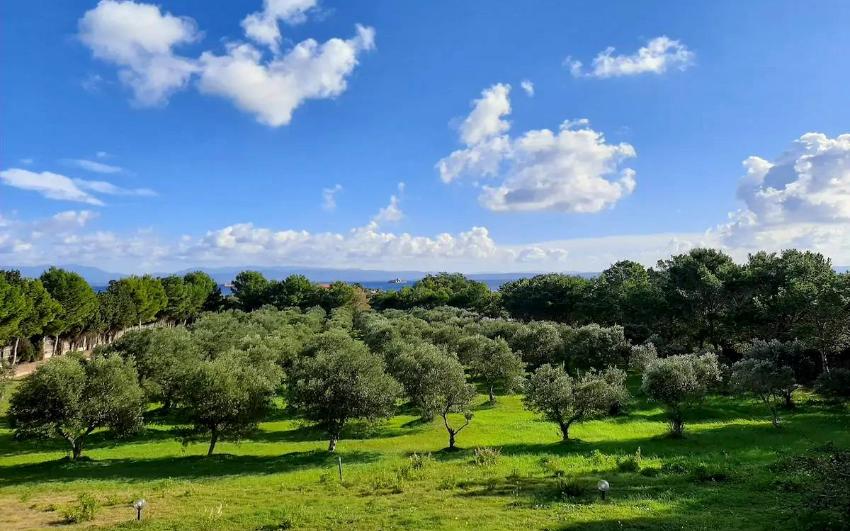 Maison Is Pruinis Maisons Sant'Antioco - Sardegna