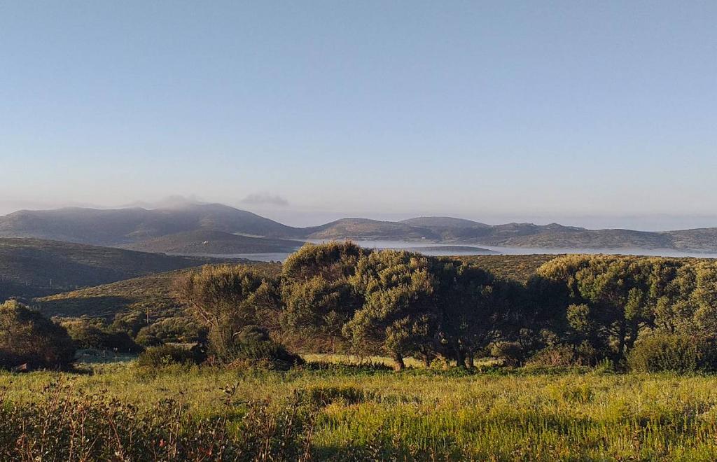 Maison Is Pruinis, Sant'Antioco (CA) #14
