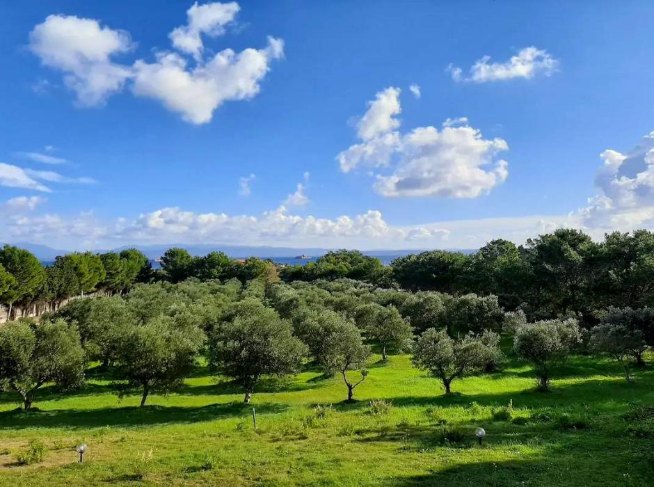 Casa Vacanza Is Pruinis Casa Vacanza Sant'Antioco - Sardegna