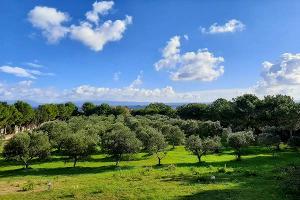Casa Vacanza Is Pruinis - Sant'Antioco - CA