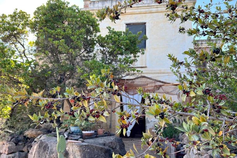Appartements Antico Borgo - Appartements Antico Borgo, San Giovanni Suergiu (CI)