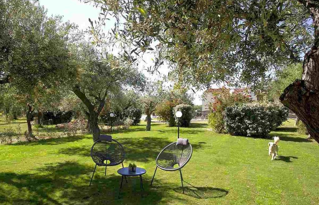 Rosso di Sera Guest House, Alghero (SS) #4