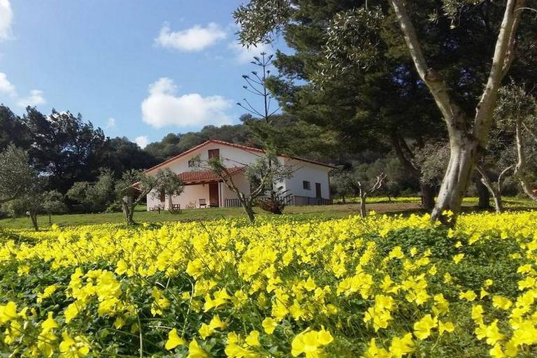 Maison Is Pruinis - Maison Is Pruinis, Sant'Antioco (CA)