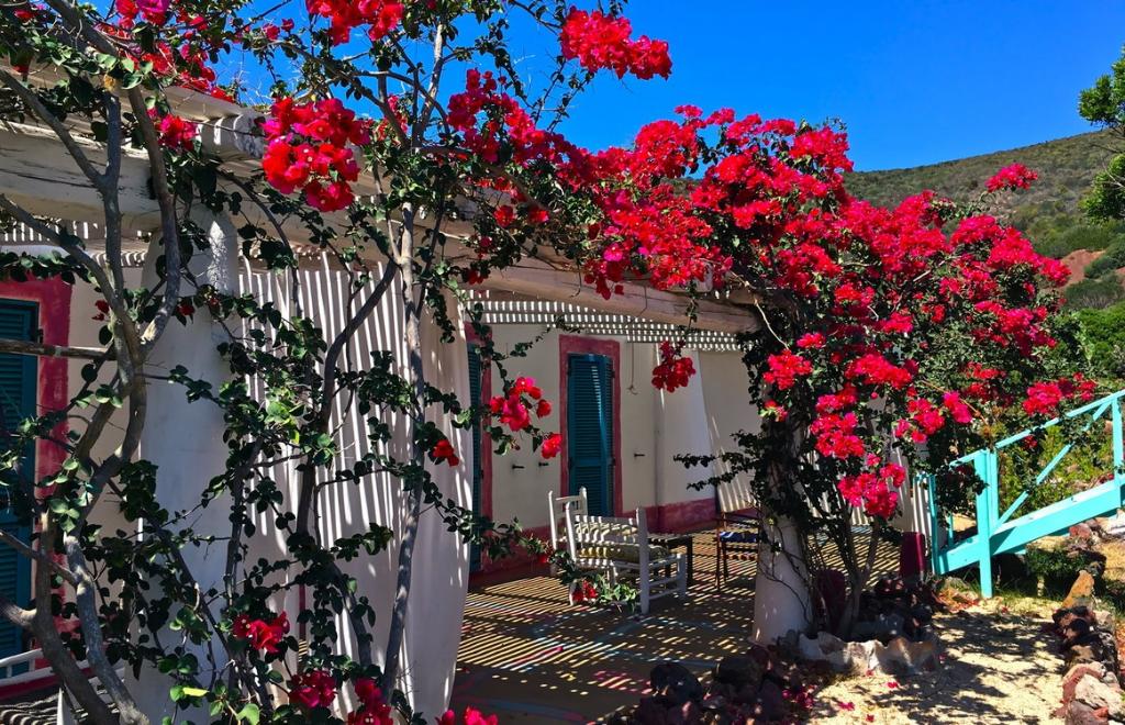 Hotel Poecylia, Carloforte (CI) #16