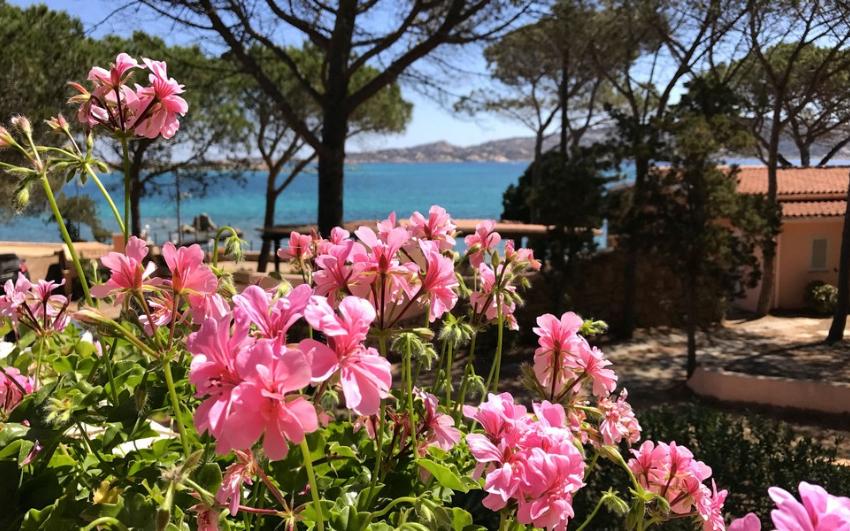 Dream Villa 2 Villa La Maddalena - Sardegna