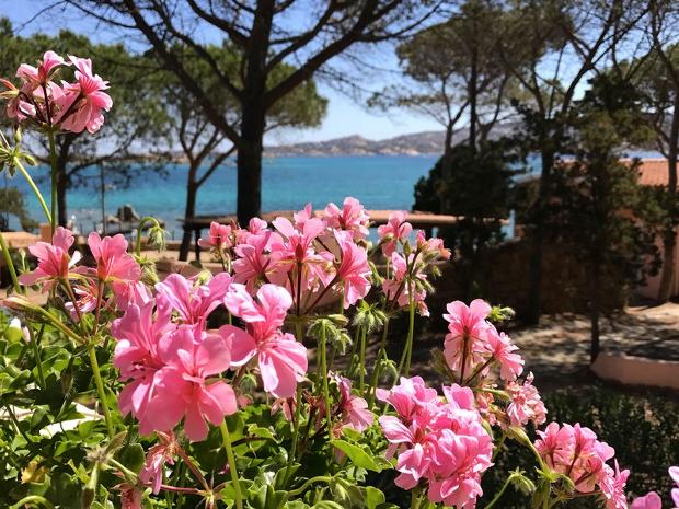 Dream Villa 2 Villa La Maddalena - Sardegna