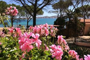 Dream Villa 2 Villa La Maddalena - Sardegna