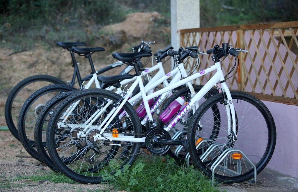 Green Park Country Lodge, San Pantaleo (OT) #21