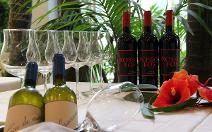 Hotel Simius Playa